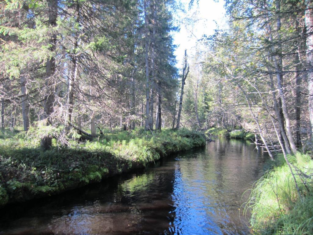 NATURA-ARVIOINNIN TÄYDENNYS 29.11.