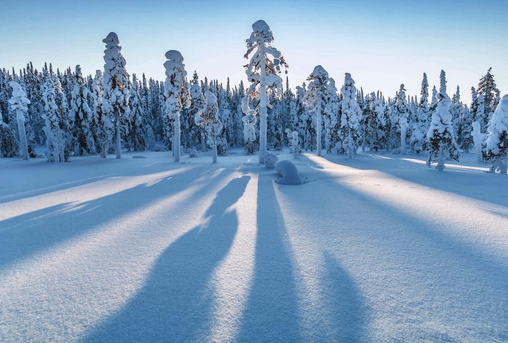 Kuvaamassa Talven Maisemat Karsten Bidstrup Kauniit, vitivalkoiset lumimaisemat edellyttävät oikeiden toimintatapojen tuntemista. Kerromme, miten vältät tummanharmaat, sinertävät kuvat.