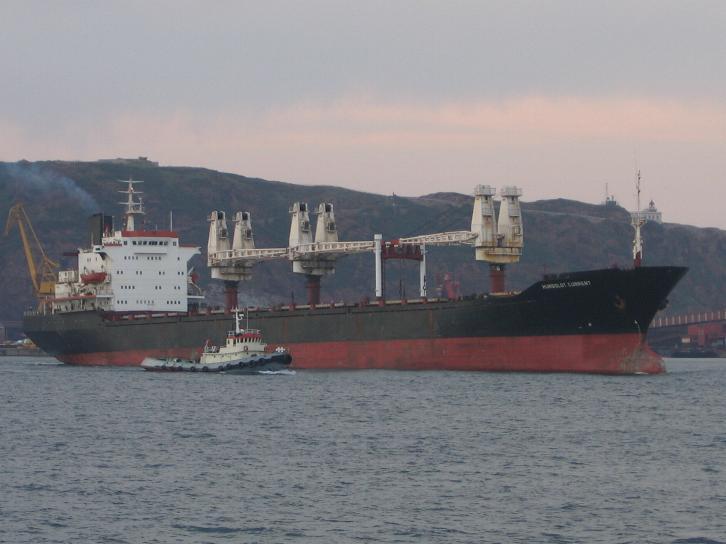 11 2.1 Yleisimmät bulkkerityypit Bulkkerit eli irtolastialukset on jaoteltu kokonsa perusteella neljään pääluokkaan: handysize (10 000-35 000 DWT), handymax (35 000-59 000 DWT), panamax (60 000-80