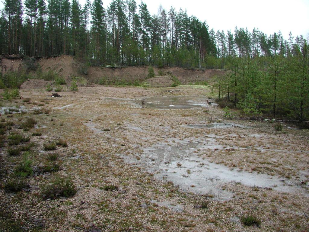 METSÄLAMPI SORAKUOPPAAN Sijainti: Laitila Koko: 4 ha Pohjavesialue: Tulejärvi, vedenhankinnan kannalta tärkeä pohjavesialue.