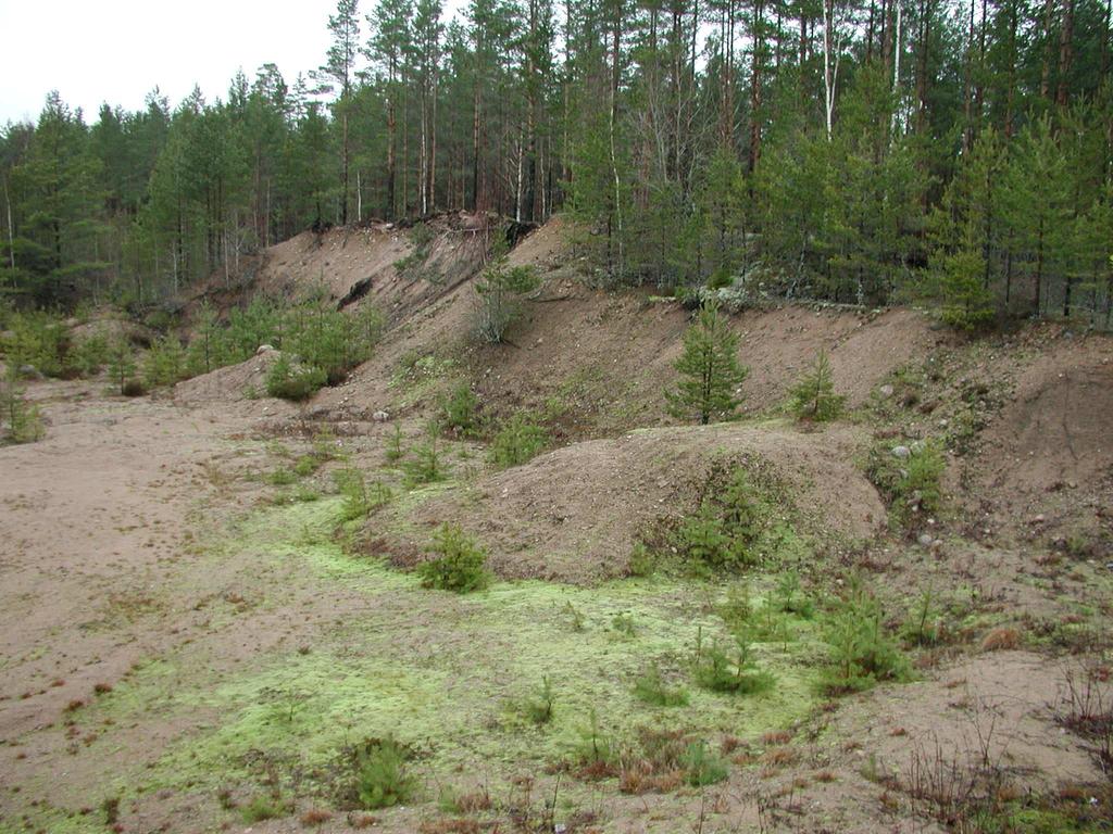 Toteutus: Maarakennus: Länsi-Suomen aikuiskoulutuskeskus Innova; Puuston ja kantojen poisto: L-S Metsäenergia Oy.