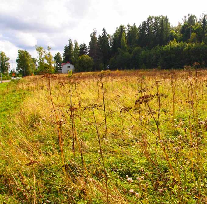 Yhteyshenilöt Förfrågningr Lisätietoj semvtyöstä nt: Tilläggsuppgifter om detljplneändringen ges v: Mirv Tlusén, voittj puh. (09) 9 etunimi.suunimi@sipoo.fi Mirv Tlusén, plnläggre tfn (09) 9 fornmn.