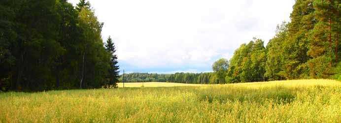 Osllistumis- j rviointisuunnitelm Mnäyttö- j rennuslin :ssä säädetään osllistumis- j rviointisuunnitelmn ltimisest.