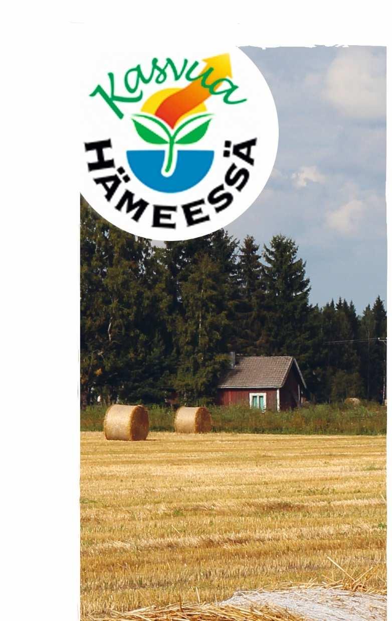Koordinoi kehittämisohjelmaa-