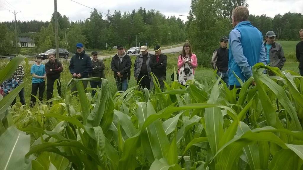 Tietotaito nousee teemapäivissä, pienryhmissä, seminaareissa sekä