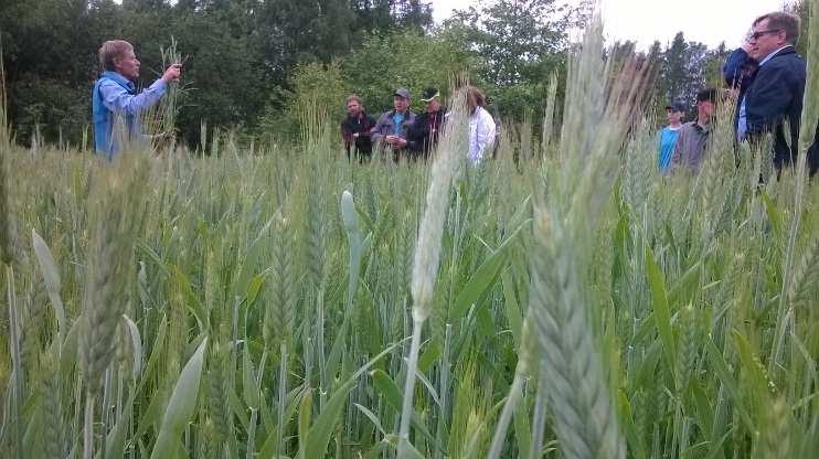 Verkostoituminen ja yhteistyö tuo tulosta!