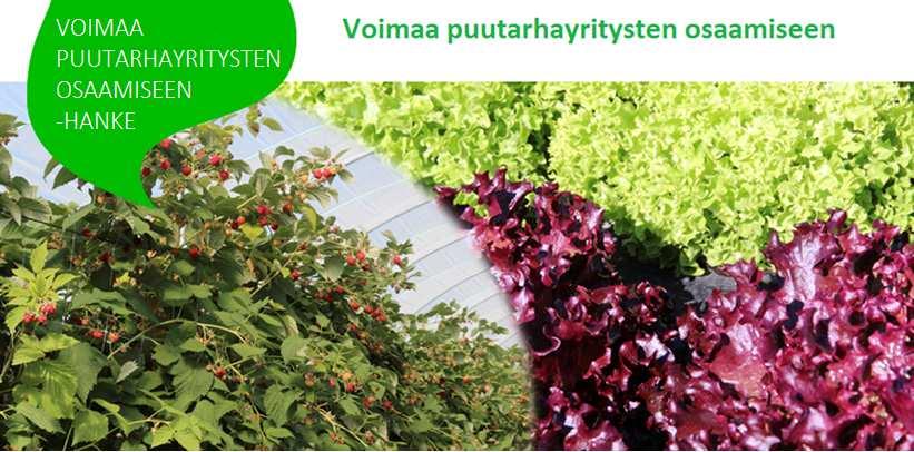 Puutarhayrittäjät kehittävät