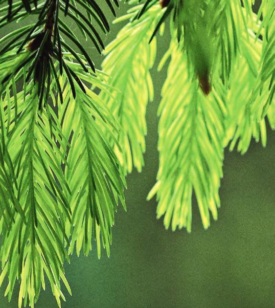 Yhä useampi kuluttaja odottaa saavansa aina tuotteen ostaessaan saman brändikokemuksen riippumatta siitä, mistä myyntikanavasta tai mistä päin maailmaa hän tuotteen hankkii.
