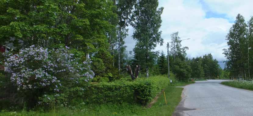 5 TOIMENPITEITÄ KAIKKI VOIVAT VAIKUTTAA YLEISEEN VIIHTYVYYTEEN - MAISEMANHOITO ALKAA OMASTA PIHASTA Kylämme ja maisemamme ovat yhteistä ympäristöämme.