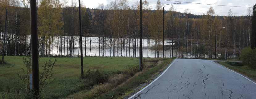 Toimenpiteitä Maisemaraivauksen suunnittelu: RAIVAUS MAISEMAA AJATELLEN Raivaus maisemaa ajatellen poikkeaa perinteisestä metsän raivauksesta.