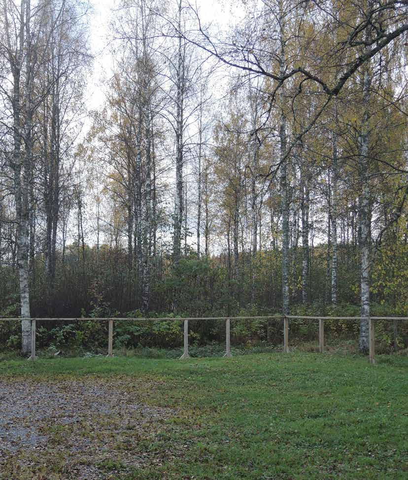 Toimenpiteitä I N F O Maisemanhoitotyö vaatii aina maanomistajan luvan Jos itse ei pysty, ehdi tms, voi työn toteuttaa ympäristöyrittäjällä.