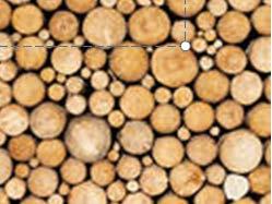 Kestävässä metsänhoidossa puuta kasvaa vuoden aikana enemmän kuin sitä hakataan. Kun puuston kasvu sitoo enemmän hiiltä kuin hakkuut ja lahoaminen vapauttavat, niin metsä toimii hiilinieluna.