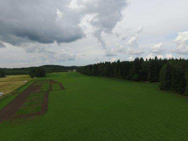 Maatalouden päästölähteet Suomessa Maaperän ja metsän hiilivaraston pienentymisestä pellonraivauksen yhteydessä Peltomaan hiilivarastojen pienentymisestä viljelytoimien vuoksi Maaperän mikrobien