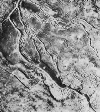 Terrestriset planeetat Mars Todennäköisesti monimutkainen