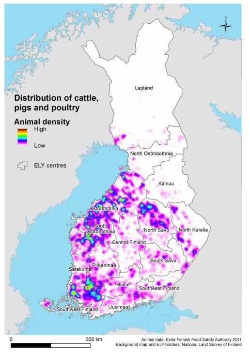 Kotieläintuotannon sijoittuminen Kotieläintuotanto on voimakasta Pohjanmaalla ja