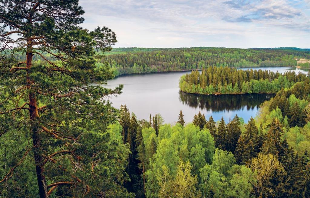 NIKLAS SJÖBLOM TEEMU TRETJAKOV / VASTAVALO مظاهر الحياة في فنلندا يمكنك الشعور بقرب بحر البلطيق والمحيط األطلنطي.
