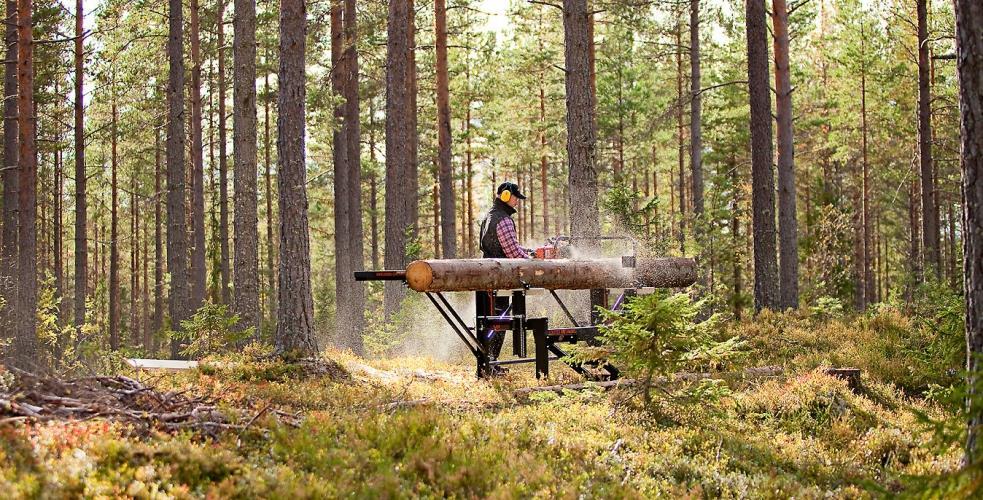 Kovaa kasvua selittävät metsäalalla esimerkiksi Stora Enson Varkauden ja Metsä Groupin Äänekosken