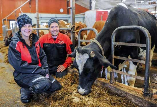 tähden kotona Kiss (VH Meno x D Expo) syntyi Marin kotona Matin ja Marin hääpäivänä. Marilla on järki mukana laajennuksesta puhuttaessa.