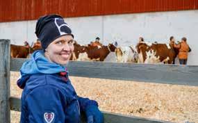 VikingGenetics osti Faban lahjoittamasta alkiosta syntyneen sonnivasikan. Nimekseen se sai VR Elektro ja lokakuussa se muutti Hollolan asemalle.