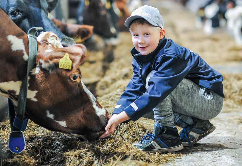 elävästä elämästä Ruokinta on kunnossa, terveydenhuolto pelaa ja tuotos nousee. Ponnistus nousu-uralle Risto Vidgrenin ja Mirja Kervisen laajennuskokemukset ovat tuttuja monille laajentajille.