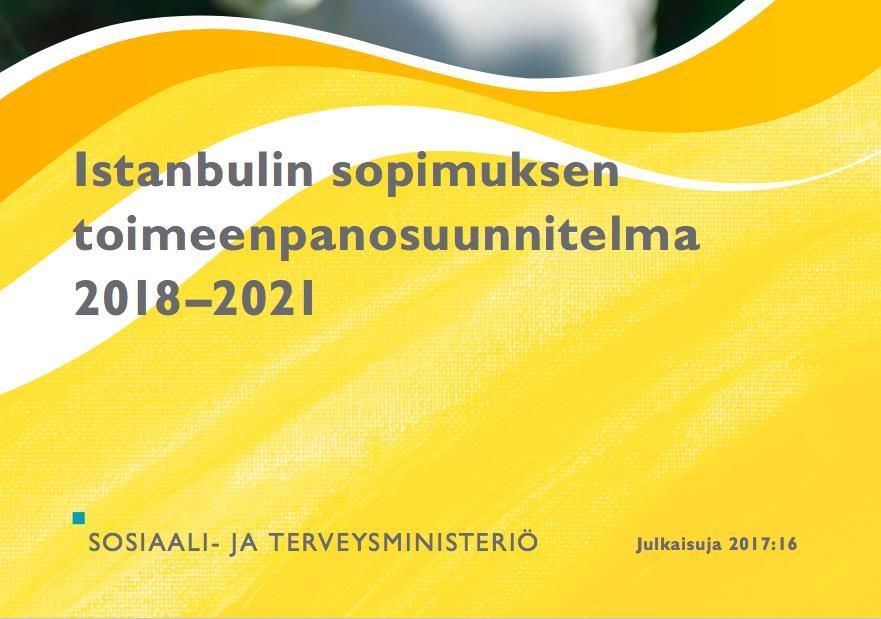 STM julkaisu 2017