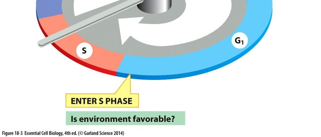 Control System Triggers the Major Processes of the