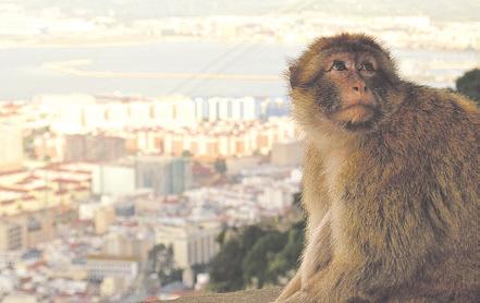 Fuengirola.fi Matkailu Perjantai 5.1.2018 11 Espanja on täynnä omalaatuisia matkakohteita, joissa kannattaa ainakin kerran elämässään vierailla.