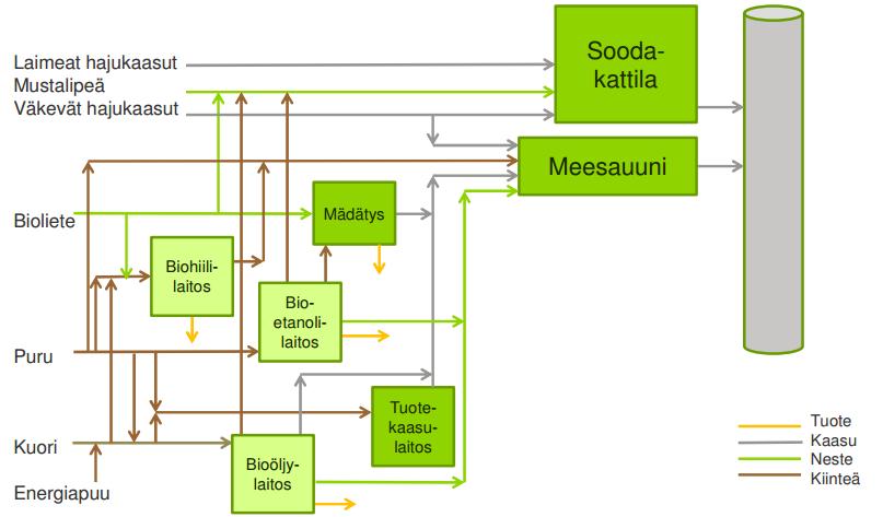 11 Kuva 5. Tulevaisuuden sellutehtaan biopohjaiset tehdaspolttoaineet (Metsä Fibre Oy 20