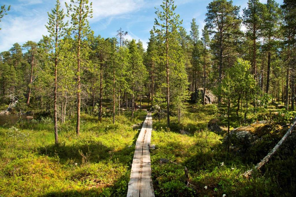 Lisälukemista Aapala Kaisu, Tyrväinen Liisa, Reinikainen Martina, Lehtoranta Virpi, Usva Kirsi, Ojala Olli & Vihervaara Petteri (2017). Uusia keinoja vetovoimaisen luonnon turvaamiseen.