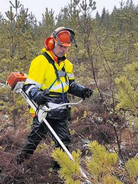 10 MetsänOmistaja 1/2017 Kemera-tuet metsälle Kaikki Kemera-tuet ovat taas haettavissa. Nuoren metsän hoidon tuelle on lähes vuoden ajan ollut hakukielto voimassa.