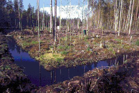 Vesiensuojelutoimet - Ravinnetalouden