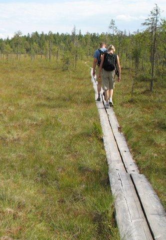 Strategia: Soita tulee suojella lisää Turveteollisuusliitto kannattaa soiden suojelun lisäämistä, mutta turvetuotannon edellytykset on turvattava.