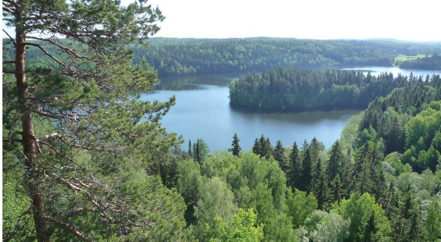 Hämeenlinnan Seudun Kalevalaiset Naiset ry 1984 2014 osa 2.