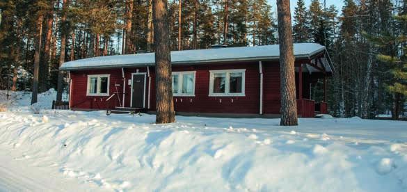 Rippikoulun jälkeen Salmella ei vuosikymmeniin ollut juurikaan yhteyttä Oronmyllyyn. Vuonna 2016 hän suunnitteli lomamatkaa Suomeen ja katsoi myös Oronmyllyn ohjelmaa.