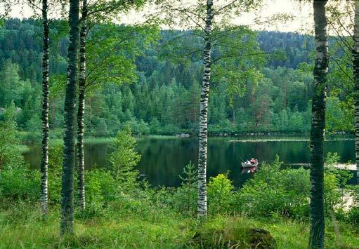 Hankeen tavoitteet Kolme pääteemaa: Luontomatkailun kestävät liiketoimintamallit ja tuotteistaminen Virkistyskäytön