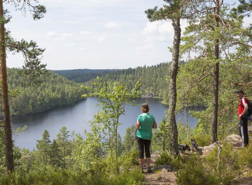 Luontomatkailussa luonto on ensisijainen matkailun vetovoimatekijä.