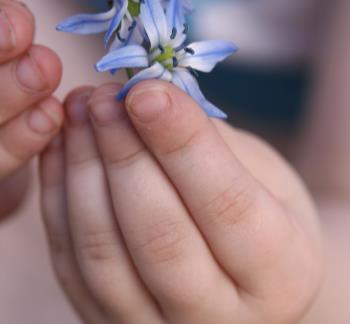 TOIMINTAKULTTUURIN MUUTOS Johtamisen ja ammatillisen osaamisen kehittäminen Pirkanmaan ja Kanta-Hämeen Lape- esimiehille suunnatussa Tampereen yliopiston Johtamiskorkeakoulun järjestämässä