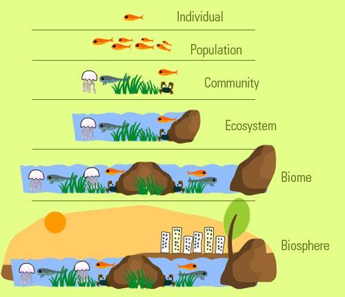 Ecosystems include more than a community of living organisms