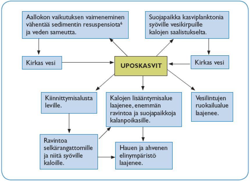 Turvetuotannon kuormitus voi aiheuttaa myös veden happitilanteen heikentymistä, joka riittävän vakavaksi kehittyessään haittaa kaikkia veden eliöryhmiä.