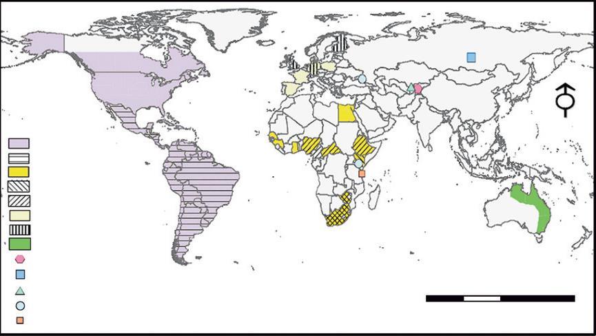 Lepakkolyssavirusten maantieteellinen jakauma modifioitu Banyard et al 2011 Rabies Virus Vampire Bat Rabies Lagos Bat Virus Duvenhage