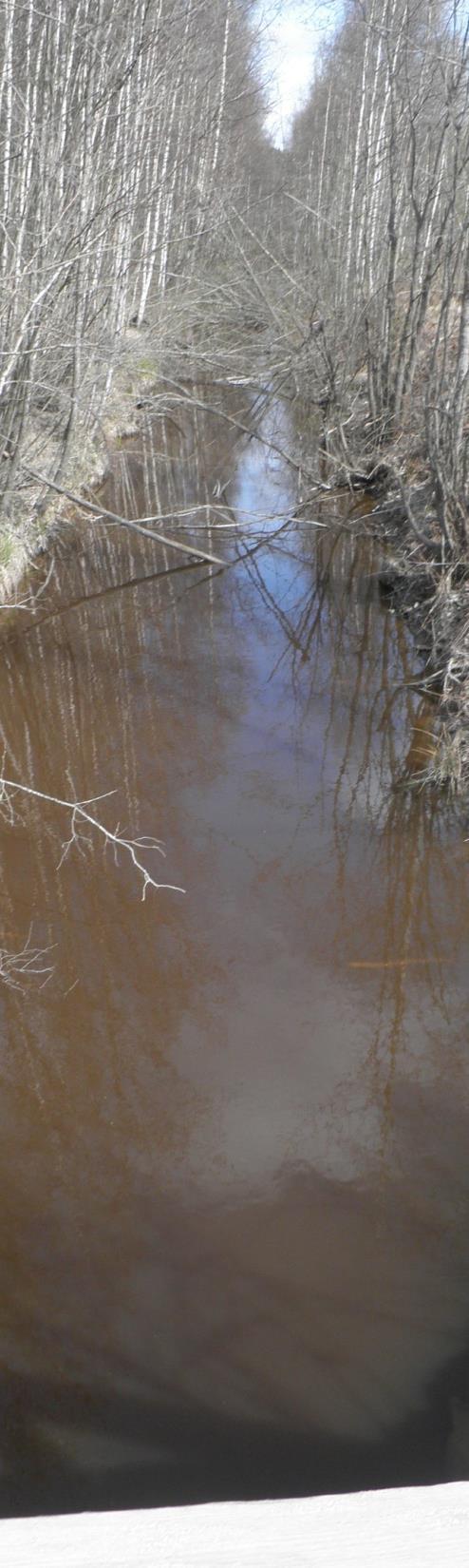 Vähäinen ojitus, silloin kun ojitusta ei tehdä happamilla sulfaattimailla tai pohjavesialueella Pienehkön metsäkappaleen ojitus