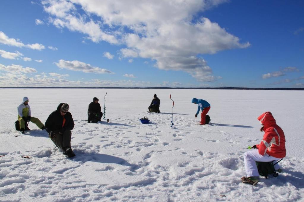 Sidosryhmiä Ammattikalastajat Vesialueen omistajat / osakaskunnat / kalastusalueet kalatalousalueet Jalostava teollisuus Vapaa-ajan kalastajat