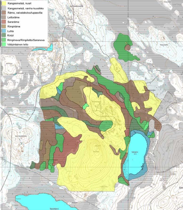 90 Scandinavian Minerals Ltd LVT 2006 Kuva 10