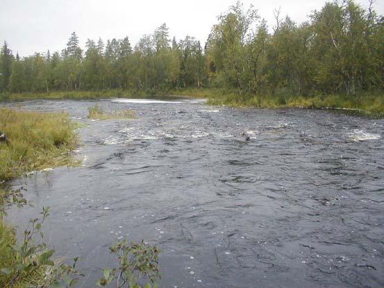 Vuoden 2004 sähkökoekalastusten hieman myöhäisestä ajankohdasta ja epäsuotuisista sääolosuhteista johtuen niitä täydennettiin kesällä 2005.