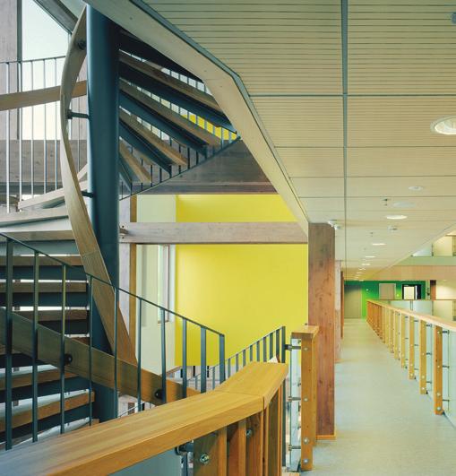 Voimakkaita värejä ja erilaisia puupintoja Julkisivun vihjaamaa vihreää löytyy sisätiloista pääaulan koko rakennuksen korkuiseen seinään maalatusta kuviosta sekä porraskäytävistä.