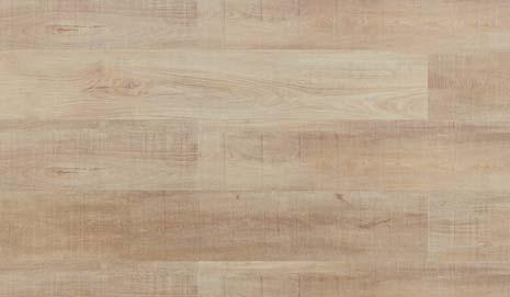 Pine B5P5001  tekstuuri 