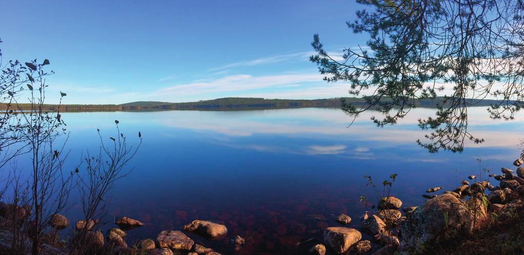 Luontounelmien taulu Luontounelmien taulu on tapa kuvata ja tuoda näkyville omia unelmia ja toiveita. ȇȇauttaa osallistujaa jäsentämään ja konkretisoimaan luontoon liittyviä toiveitaan ja unelmiaan.