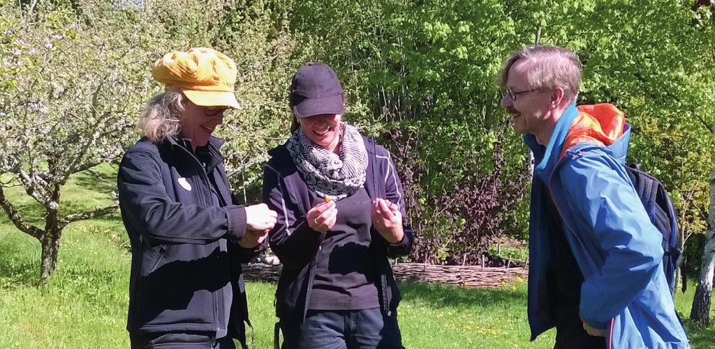 Osallistumisen mahdollisuudet Osallistumisen mahdollisuudet -työväline on ensisijaisesti keino etsiä mahdollisuuksia liittyä lähi- ja paikallisyhteisöön luontotoiminnan kautta.