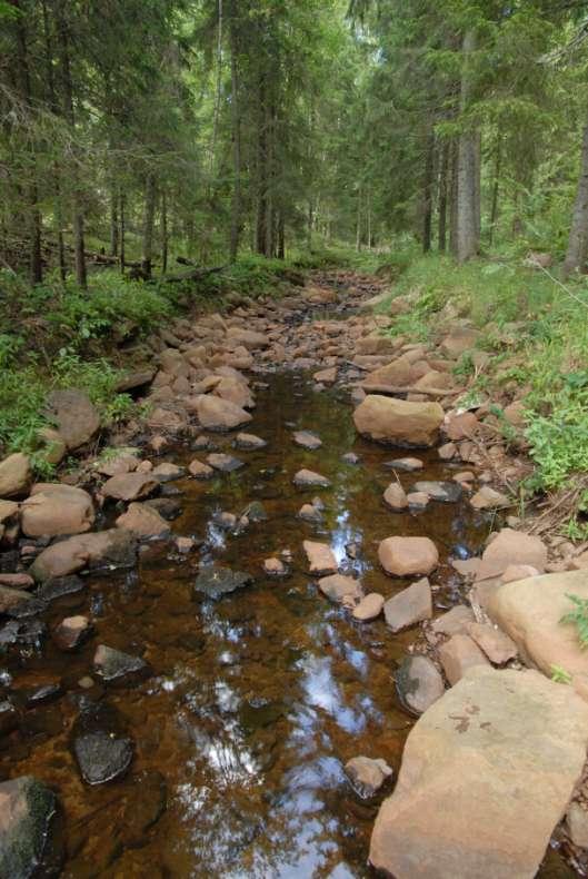 Kohde 5 Juvajoen viides kohde on noin 400 metriä pitkä koskialue, joka sijaitsee noin 300 metrin etäisyydellä Veljestuvan padosta (kuva 3).