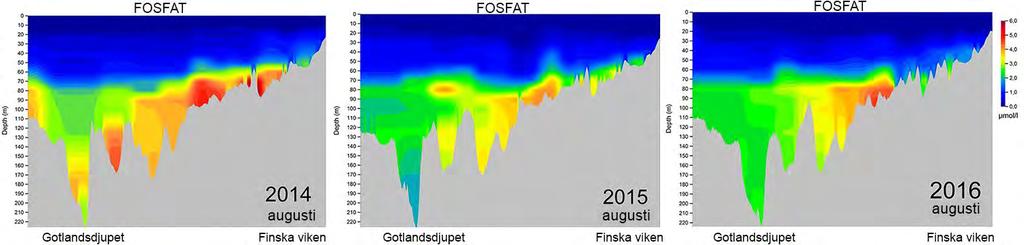 Halterna av fosfatfosfor har minskat till följd av de förbättrade syreförhållanden Östersjön skulle behöva ca.